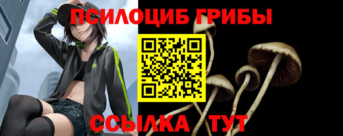 Галлюциногенные грибы мухоморы  Вход с VPN  где купить наркотик  Аша 