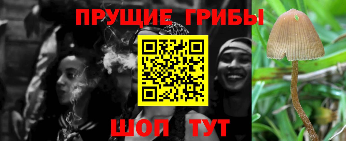 Галлюциногенные грибы Psilocybe Аша